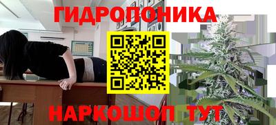 гашиш Гудермес