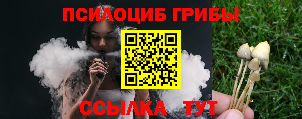 Галлюциногенные грибы Cubensis  Вход с VPN  Гуково  Псилоцибиновые грибы Magic Shrooms 