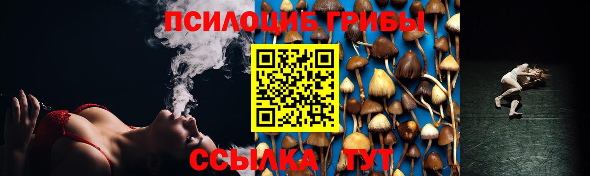 Галлюциногенные грибы Cubensis Гуково